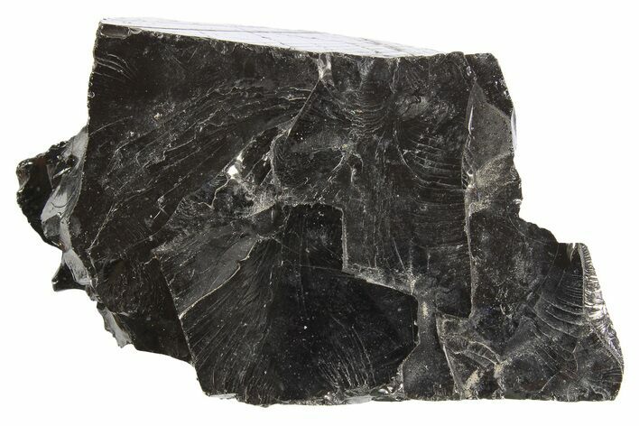 Lustrous, High Grade Shungite - Colombia #297132
